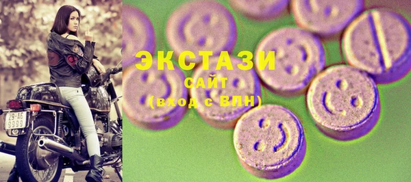 ECSTASY Богородицк