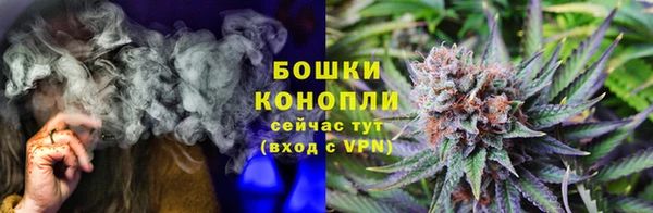 ECSTASY Богородицк